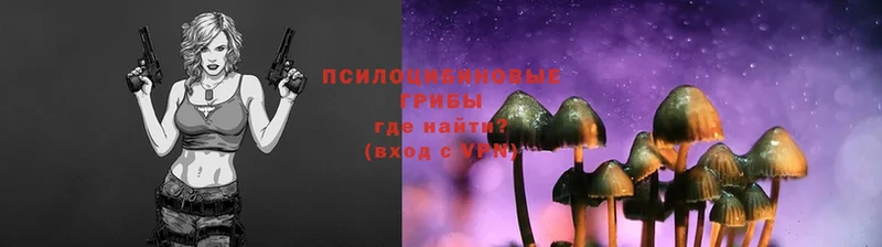 Псилоцибиновые грибы Magic Shrooms  Уфа 